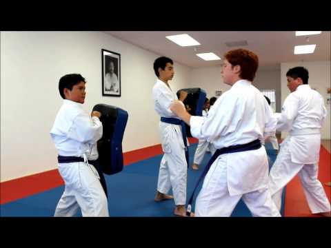 Aguiar Karate — Costa Mesa, CA